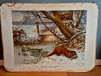 Oude schoolplaat: Roofdieren in de winter, Antiek en Kunst, Ophalen
