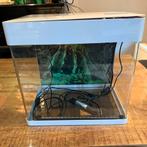 Superfish panorama aquarium 50L, Dieren en Toebehoren, Ophalen