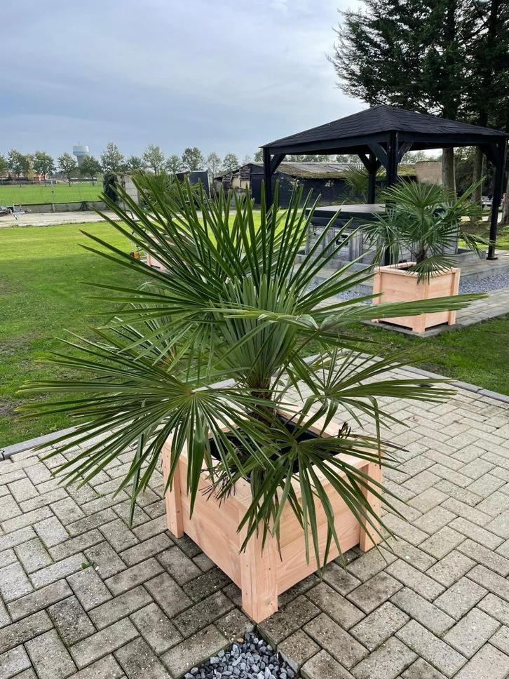bloembak hout, Tuin en Terras, Bloembakken en Plantenbakken, Nieuw, Hout, Binnen, Balkon, Tuin, 60 cm of meer, 60 tot 100 cm, Rechthoekig