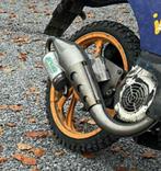 Proma Scoopy/Sky Uitlaat - NOS, Ophalen of Verzenden, Nieuw, Uitlaat, Honda