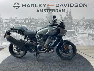 Harley-Davidson PAN AMERICA S CAST (bj 2021) beschikbaar voor biedingen