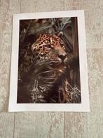 Jaguar Poster - Natuurfotografie Print 30x40 Kunst Decorat, Ophalen, Rechthoekig Staand