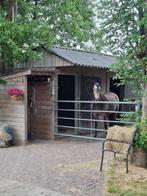 Uitloopstal met paddock en weide,1 plekje vrij., Dieren en Toebehoren, Stalling en Weidegang, Weidegang, 1 paard of pony