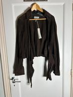 Anna Lascata Suède Jasje / Cardigan - Maat 42 (L) - NIEUW, Bruin, Verzenden, Maat 42/44 (L), Nieuw