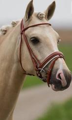 Cognac hoofdsstel maat pony/cob rond genaaid, Dieren en Toebehoren, Paarden en Pony's | Hoofdstellen en Tuigage, Ophalen of Verzenden