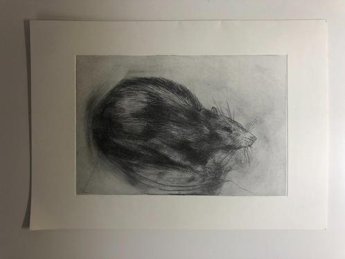 B284 Ets Arnhem RatRace 1997 Siebold Otten, Antiek en Kunst, Kunst | Etsen en Gravures, Ophalen of Verzenden