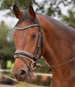 Zwart lak hoofdstel wit onderlegd cob/full, Dieren en Toebehoren, Verzenden, Zo goed als nieuw, Dressuur