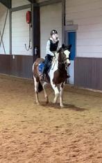 Betrouwbare verzorger/bijrijder aangeboden!, Ophalen of Verzenden, Nieuw