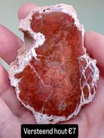 Plak versteend hout, Ophalen of Verzenden, Mineraal