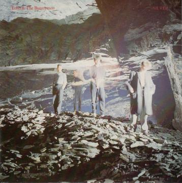 ECHO AND THE BUNNYMEN - silver 7 INCH VINYL SINGLE beschikbaar voor biedingen