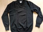 Heren trui/ pullover maat M 100% wol Philip Handsome, Maat 48/50 (M), Zwart, Ophalen of Verzenden, Gedragen