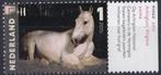 Charlotte Dumas – Ringo, liggend paard – MNH – NVPH 3338, Na 1940, Verzenden, Postfris