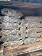 Sekelboshout 10kg / sakje, Nieuw, Ophalen