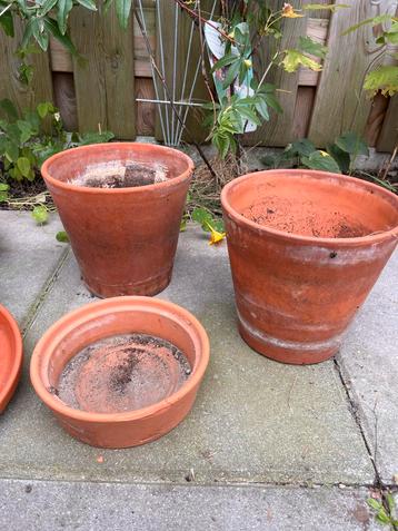 Terracotta Bloempotten beschikbaar voor biedingen