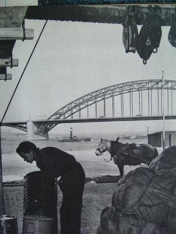 Fotoboek Nijmegen - 1955. beschikbaar voor biedingen