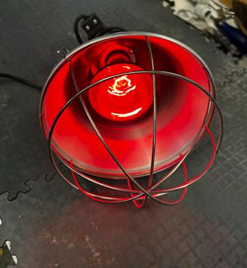 Infrarood warmtelamp (voor dieren) beschikbaar voor biedingen