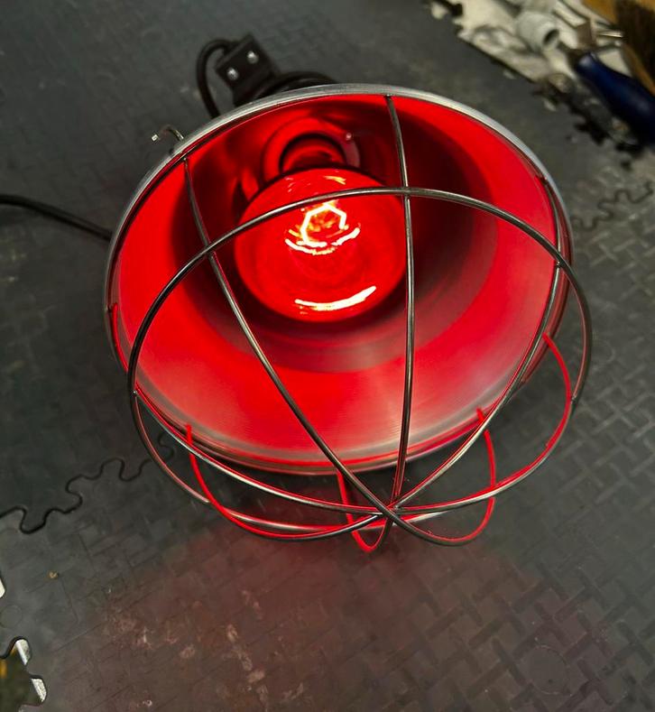 Infrarood warmtelamp (voor dieren), Dieren en Toebehoren, Overige Dieren-accessoires, Zo goed als nieuw, Ophalen of Verzenden