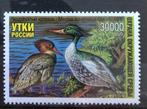 RUSLAND 1996 eend zaagbek 1w pf, Verzenden, Postfris, Dier of Natuur