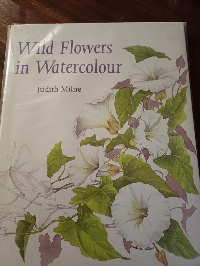 Wild Flowers in Watercolour - Schilderen, Boeken, Ophalen of Verzenden, Zo goed als nieuw, Tekenen en Schilderen, Judith Milne