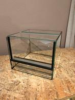 Terrarium 25x20x25, Dieren en Toebehoren, Ophalen of Verzenden, Zo goed als nieuw