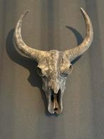 Schedel buffel, Ophalen of Verzenden, Zo goed als nieuw