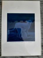 Carolien Klein Goldewijk kattenposter, Ophalen of Verzenden