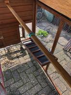 Kippenhok met ren, Dieren en Toebehoren, Vrouwelijk, Kip