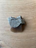 Vuurkets bodemvondst, Ophalen of Verzenden, Landmacht, Duitsland, Hulzen of Bodemvondsten