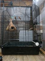 Vogelkooi te koop!, Dieren en Toebehoren, Ophalen, Zo goed als nieuw, Metaal, Vogelkooi