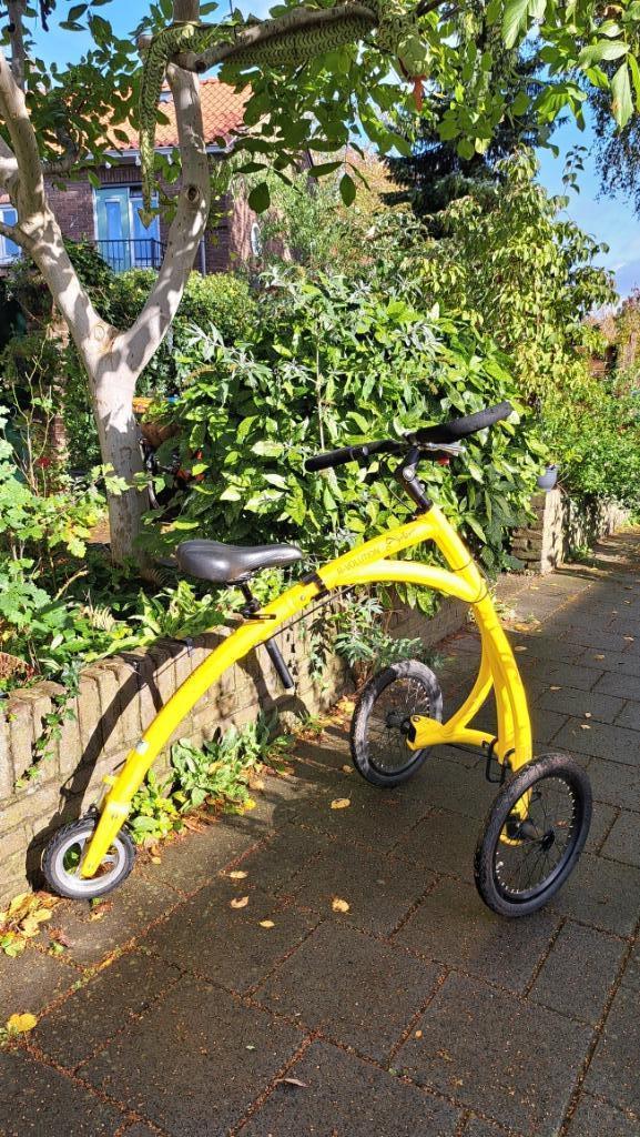 Loopfiets volwassenen Alinker R-Volution Maat M, Fietsen en Brommers, Fietsen | Vouwfietsen, Zo goed als nieuw, Overige merken