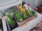 Kunst tulpen op stoere overpot, *, *, Nieuw, Ophalen of Verzenden