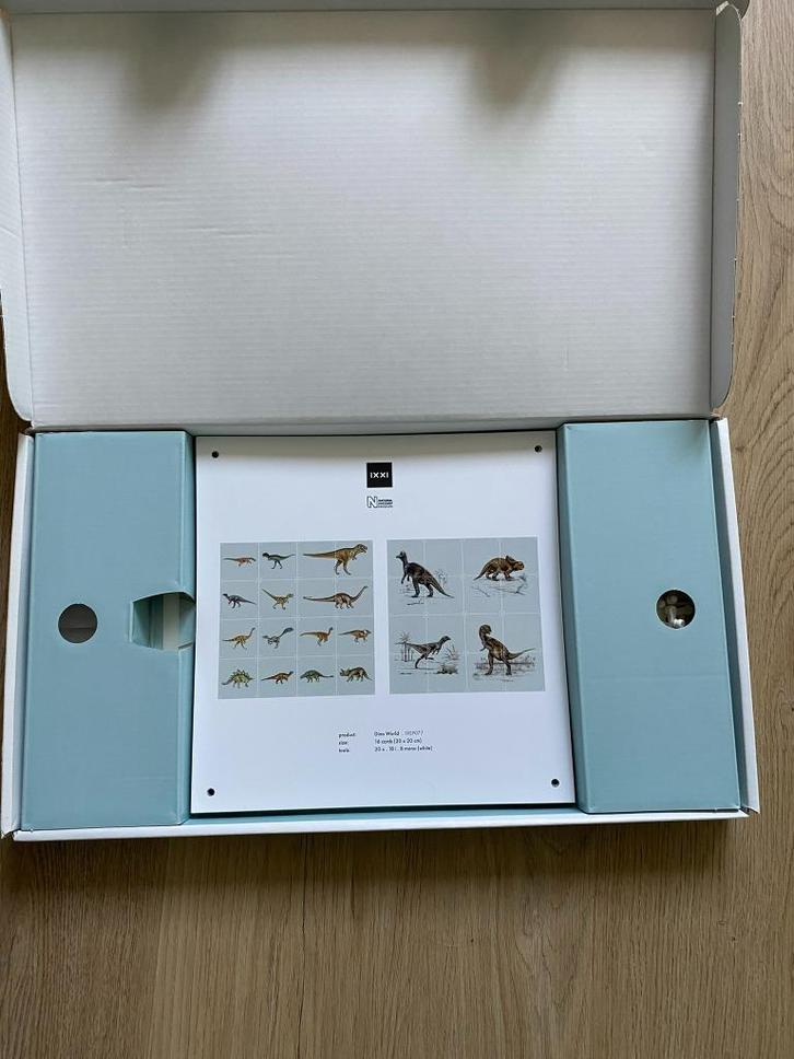 IXXI Dino's 4x4 dubbelzijdig, Huis en Inrichting, Woonaccessoires | Wanddecoraties, Gebruikt, Ophalen of Verzenden