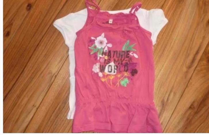 Roze top en shirt in maat 104, Kinderen en Baby's, Kinderkleding | Maat 104, Zo goed als nieuw, Meisje, Shirt of Longsleeve, Ophalen