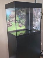 Aquarium Juwel Lido120 met onderkast en Helialux verlichting, Dieren en Toebehoren, Vissen | Aquaria en Toebehoren, Ophalen, Gebruikt