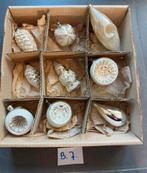 Kerst zilver oude brocante vintage kerstballen pegel deukbal, Diversen, Kerst, Ophalen of Verzenden