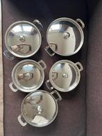 RVS schalen met deksel 5x, Huis en Inrichting, Keuken | Potten en Pannen, Ophalen of Verzenden, Zo goed als nieuw, Rvs, Overige typen