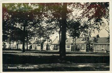 (378-311-049) Renesse Dorpsgezicht beschikbaar voor biedingen