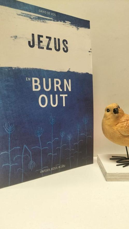 Vos, David de; Jezus en burn out, Boeken, Godsdienst en Theologie, Gelezen, Christendom | Protestants, Ophalen of Verzenden