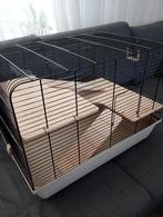 Hamster kooi houten verdiepingen, Dieren en Toebehoren, Knaagdieren en Konijnen | Hokken en Kooien, Kooi, Gebruikt, Minder dan 75 cm