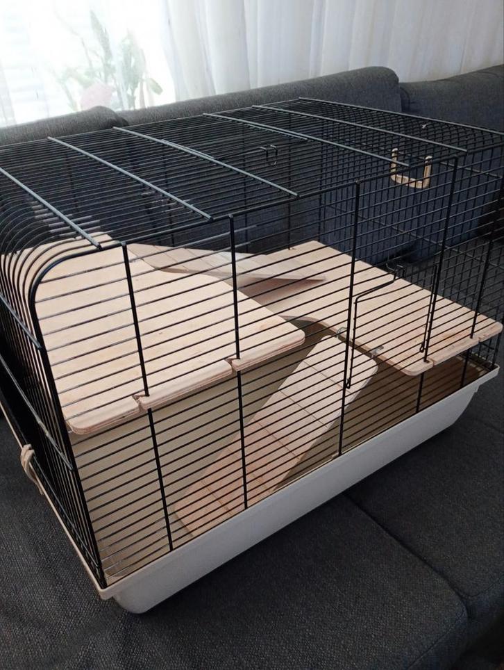 Hamster kooi houten verdiepingen, Dieren en Toebehoren, Knaagdieren en Konijnen | Hokken en Kooien, Gebruikt, Kooi, Minder dan 60 cm