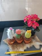 Gehaakte Cactus Set - Handgemaakt, Ophalen of Verzenden, Nieuw, Knutselwerk