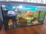 Axolotl met 100 ltr Aquarium, Dieren en Toebehoren, Ophalen, Zo goed als nieuw, Leeg aquarium