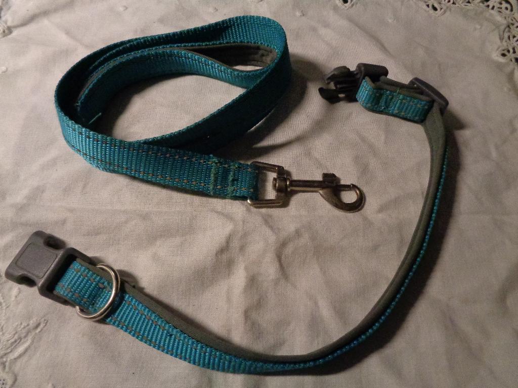 blauwe loop set voor honden, Dieren en Toebehoren, Ophalen of Verzenden, Zo goed als nieuw