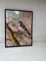 Poster met lijst - Vanilla fly, Ophalen of Verzenden, Zo goed als nieuw, Foto of Poster, Minder dan 50 cm