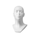 Piepschuim Hoofden-Presentatie Hoofden Piepschuim Unisex EPG, Kleding | Dames, Hoeden en Petten, ETALAGEPOPPENGIGANT.NL, Ophalen of Verzenden