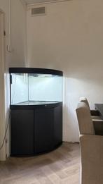 Aquarium hoek 190 liter, Dieren en Toebehoren, Vissen | Aquaria en Toebehoren, Ophalen, Zo goed als nieuw, Leeg aquarium