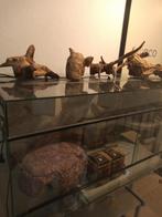 Terrarium zeer compleet 3D, Dieren en Toebehoren, Reptielen en Amfibieën | Toebehoren, Ophalen, Zo goed als nieuw