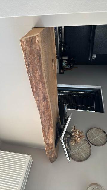 Boomstam blad beschikbaar voor biedingen