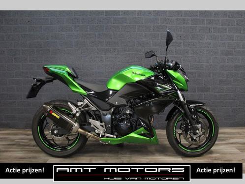 KAWASAKI Z 300 ABS (bj 2016) Performance Z300 Akrapovic, Motoren, Motoren | Kawasaki, Bedrijf, Sport