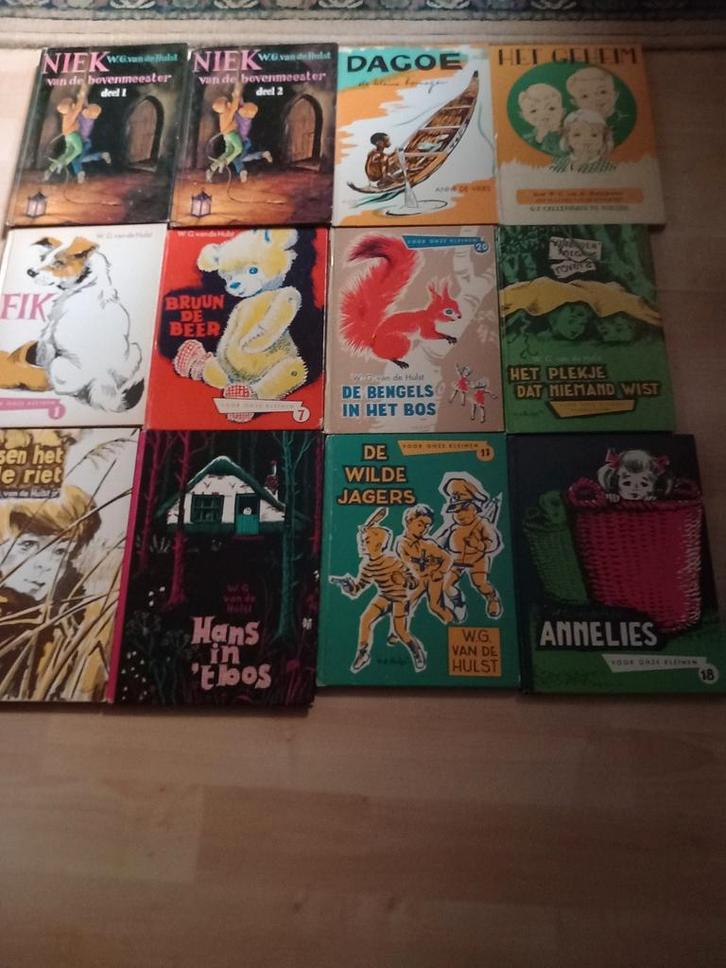 Kinderboeken W.G van de Hulst, Callenbach Nijkerk, Boeken, Kinderboeken | Jeugd | 10 tot 12 jaar, Gelezen, Ophalen of Verzenden